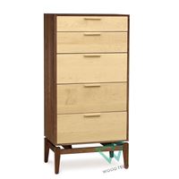 Tủ đựng đồ gỗ óc chó hiện đại WT-0002